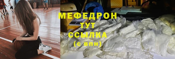 мдпв Бородино