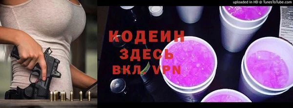 мдпв Бородино