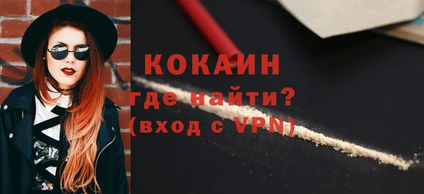 мдпв Бородино