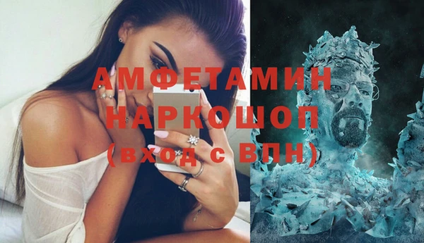 мдпв Бородино