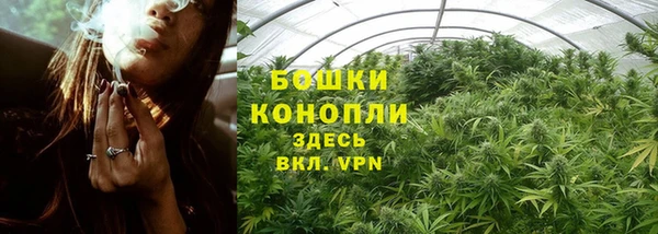 мдпв Бородино