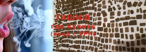 мдпв Бородино