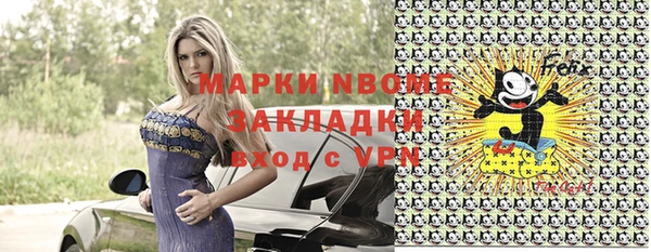 мдпв Бородино