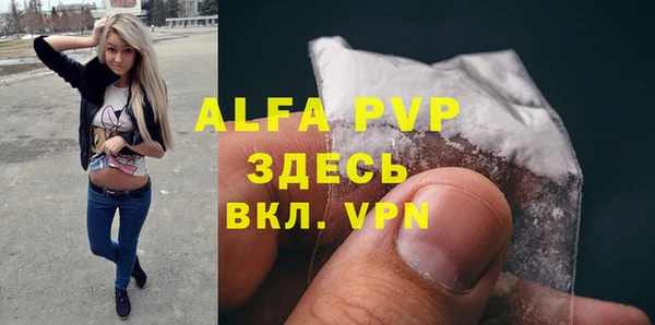 мдпв Бородино